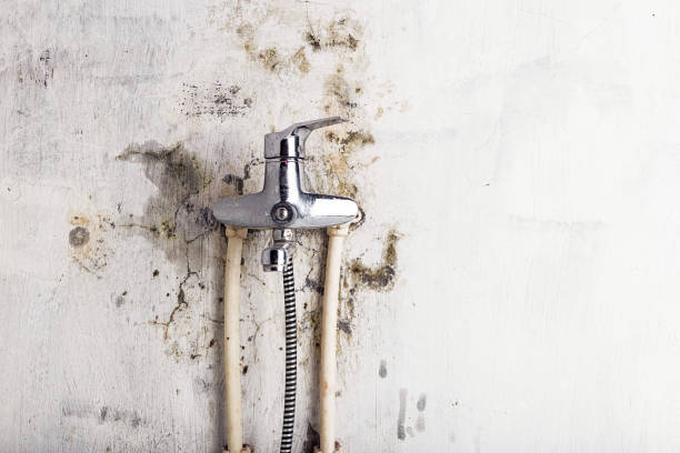 Best Office Mold Removal Services  in Lansdowne, VA