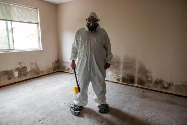 Best Toxic Mold Removal  in Lansdowne, VA